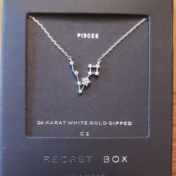 PISCES | Dainty Constellation ZODIAC Necklace - Picture 1 of 2